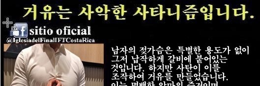 🌸정도리🌸's banner