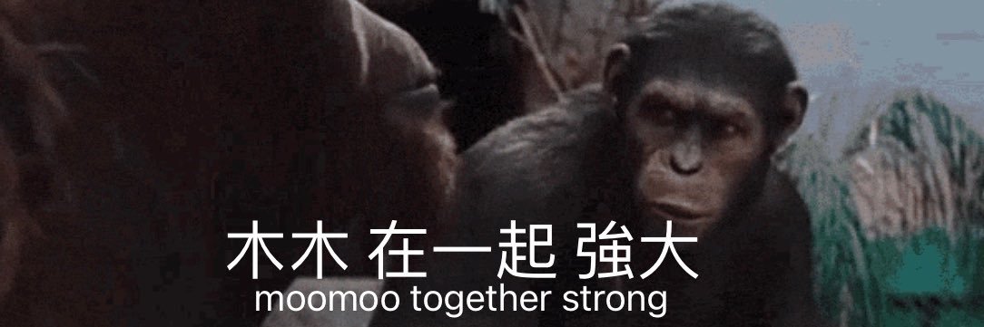 冰🧊丨MAMAMOO IS COMING BACK FOR U's banner