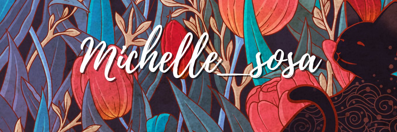 Michelle Sosa's banner