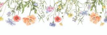 みい's banner
