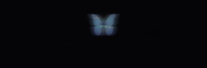 CD winter's banner