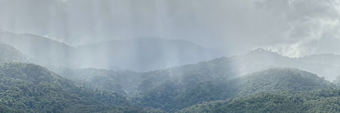 Mimemimemimeme's banner