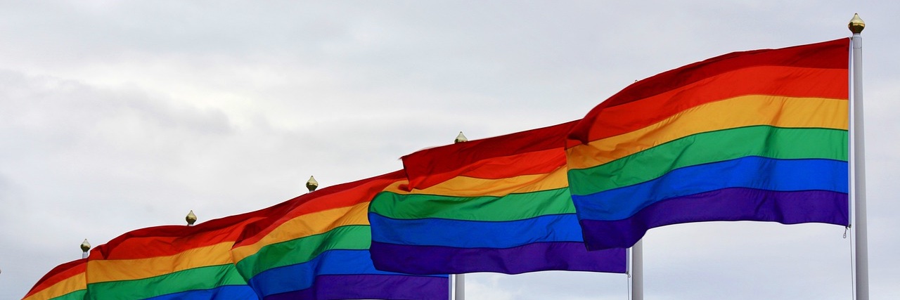 🇪🇺Clara Füllmich-Pfister🇪🇺🙈 🌻 🌈 🔴's banner