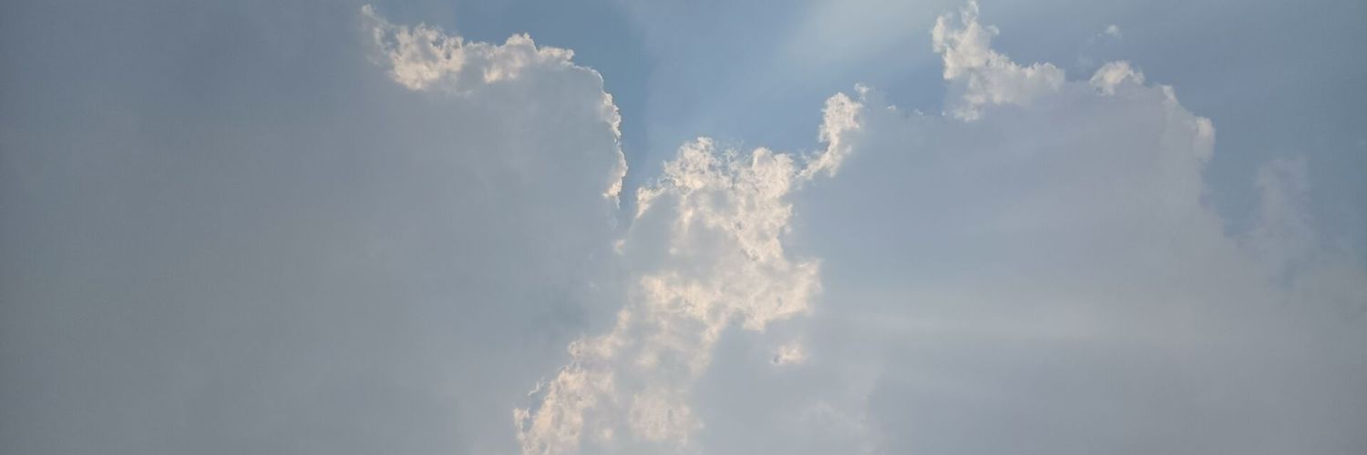 L's banner