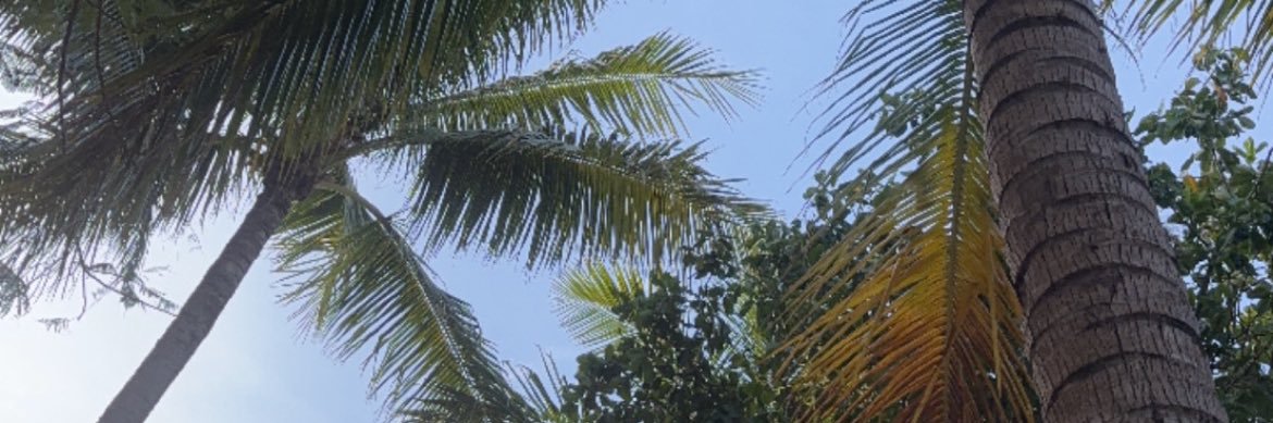 Jujuthespinster's banner