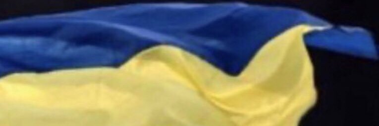 自由的嚮往（關注今月事件）🎗️🇺🇦's banner