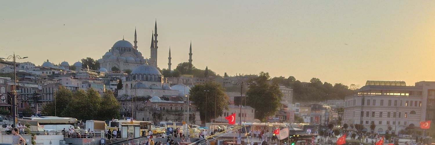 からし味噌🇹🇷🇲🇽FX投資垢's banner