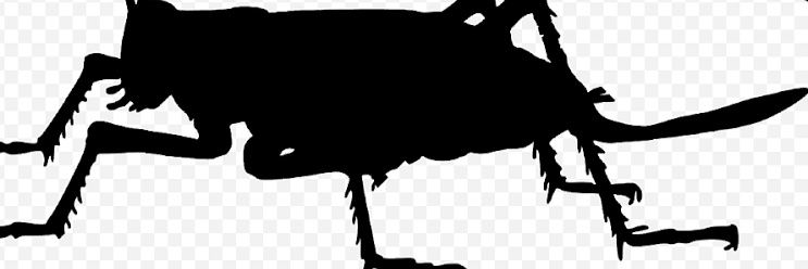 jangkrik_item's banner