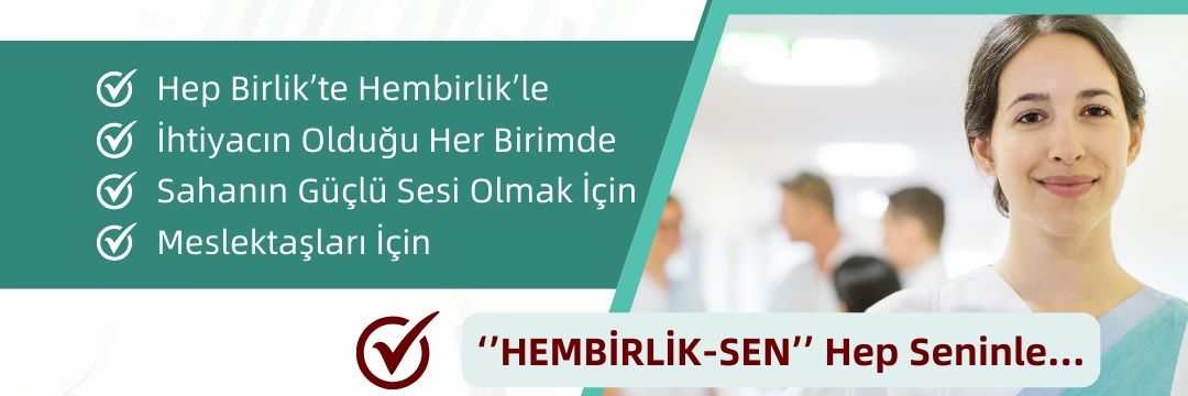 HEMBİRLİK-SEN's banner