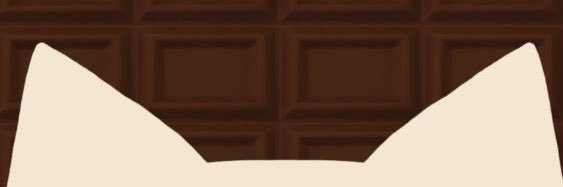 あのねのあ 🐈🤎's banner