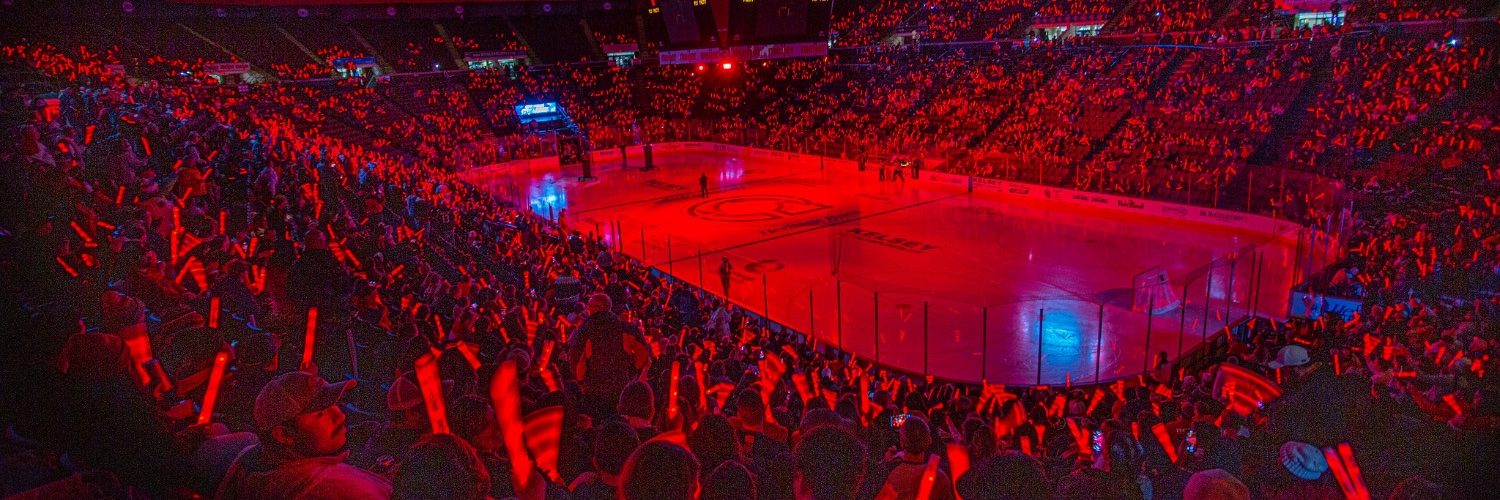 Cincinnati Cyclones's banner
