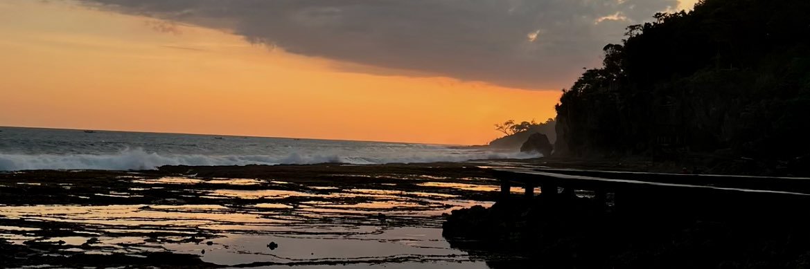 rise🍃's banner