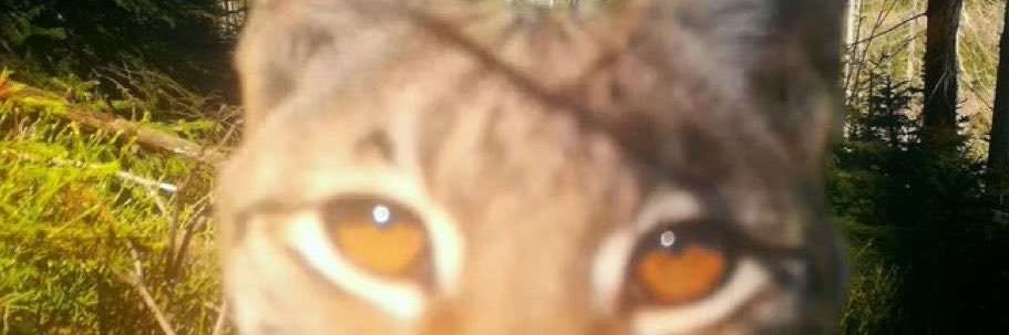 samet 🇬🇧's banner