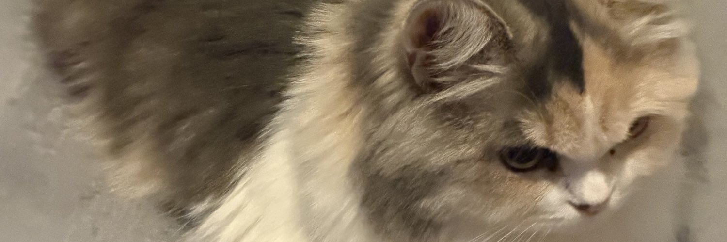 ミケの人🐈🔞's banner