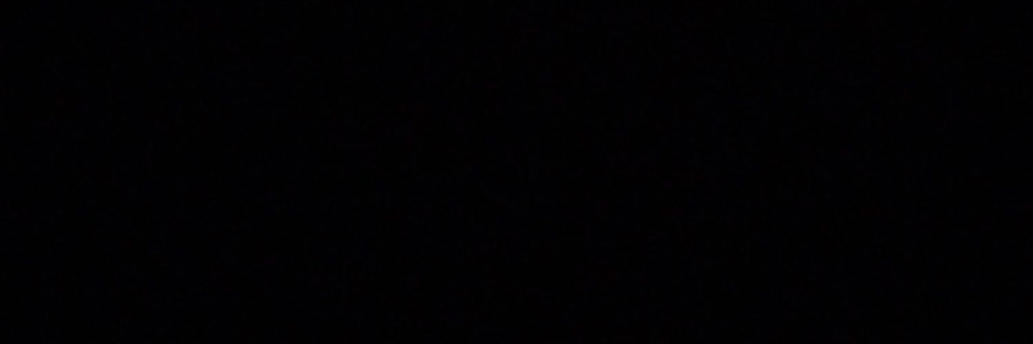 ev's banner