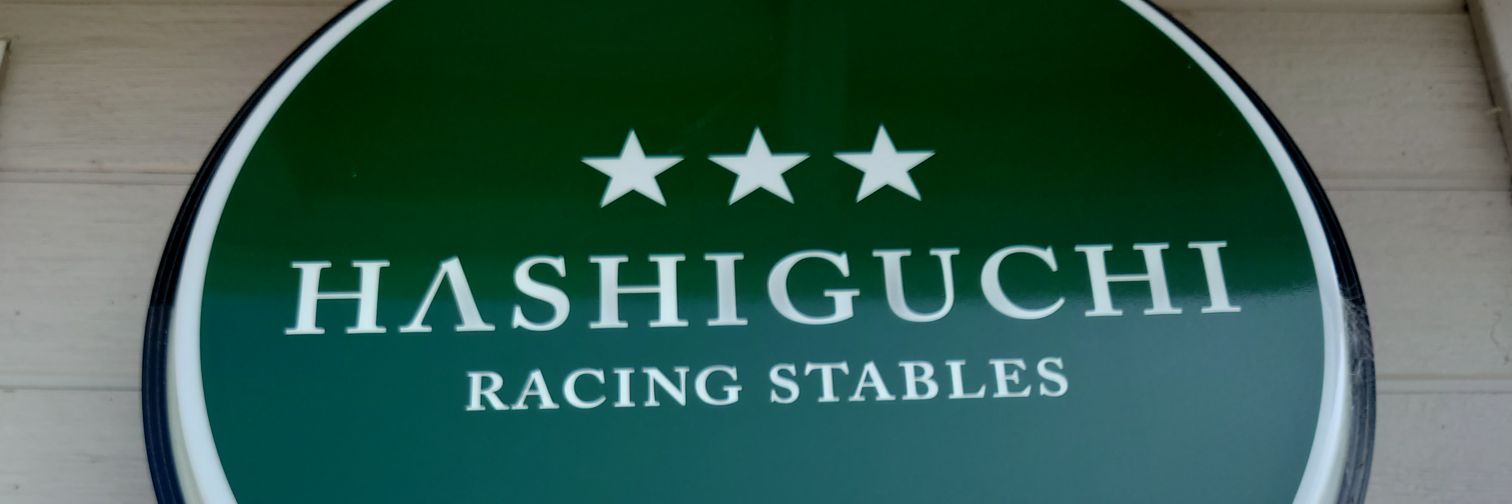 シトリン's banner