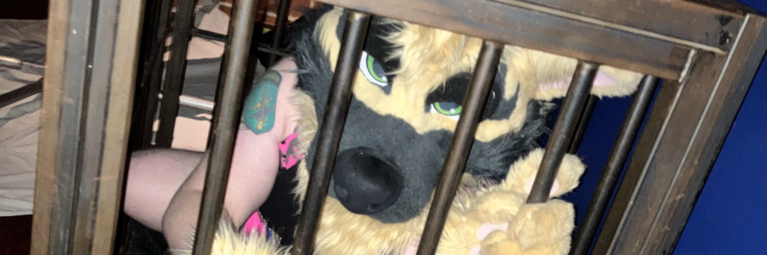 Swammy 🔜 BLFC, Pawcon, MFF's banner