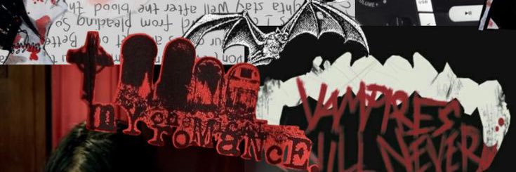 𝖇𝖎𝖗𝖉𝖞 🥀 ᴘɪꜱꜱ ᴘᴜᴘᴘʏ's banner