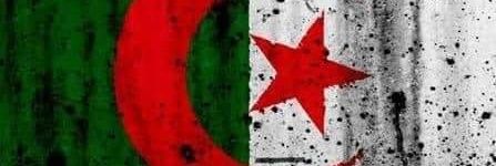 مُهيب الحوثي's banner