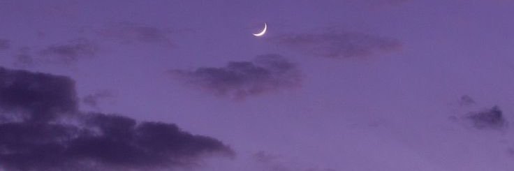 あなたの教祖さま's banner