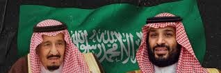 🦈الشبح الهلالي🦈's banner