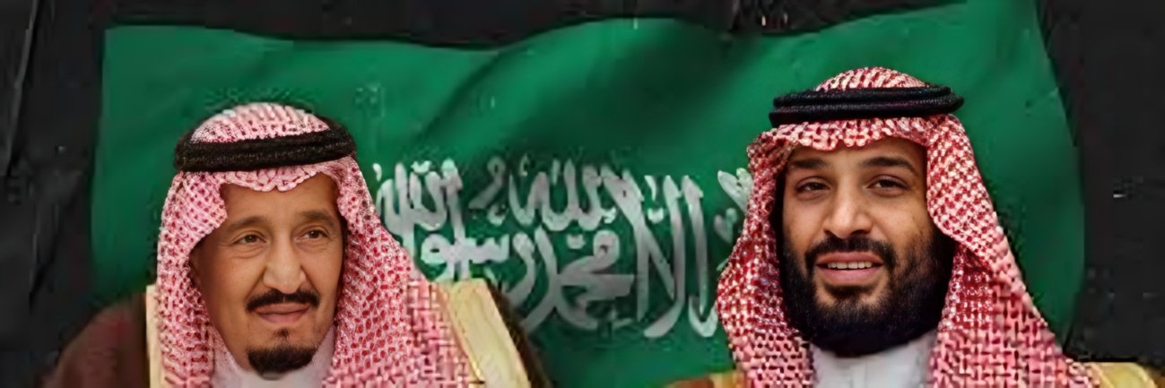 🦈الشبح الهلالي🦈's banner