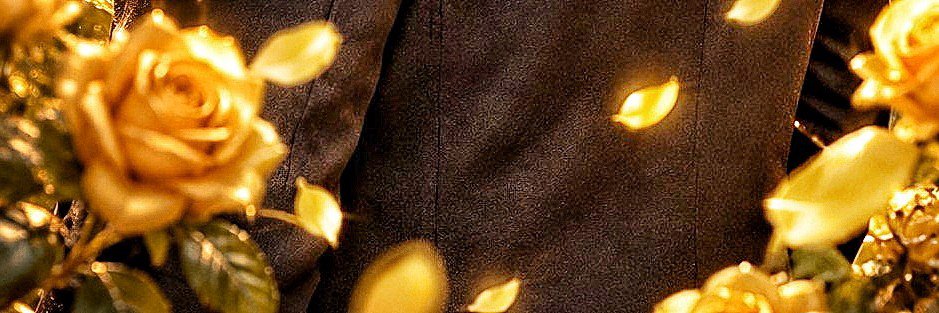 Wᴏʟᴠᴇʀɪɴᴇ彡★🐺's banner