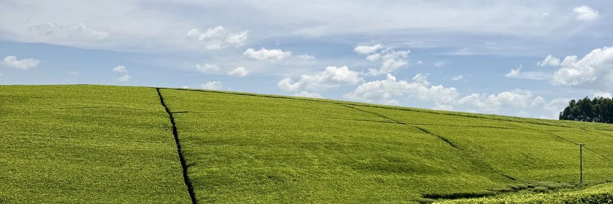 Jasleen's banner