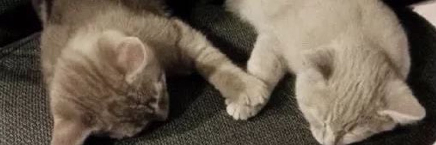 M🧸's banner