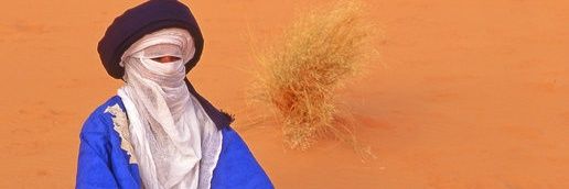 🇩🇿Anonyme's banner