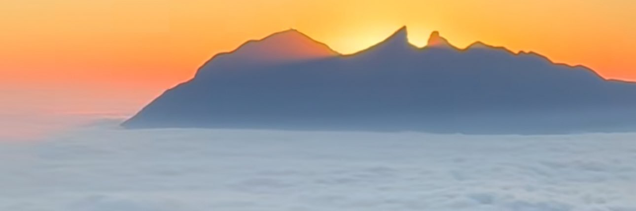 Tu Amiga's banner