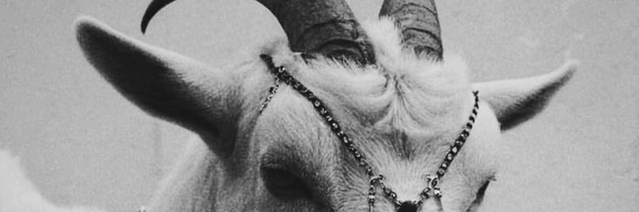 Olatunji 🪖's banner