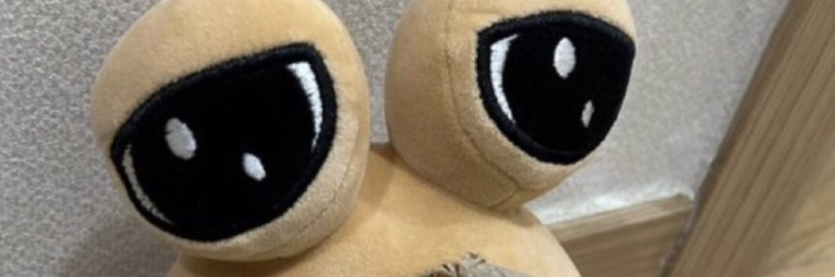 🧏🏽's banner