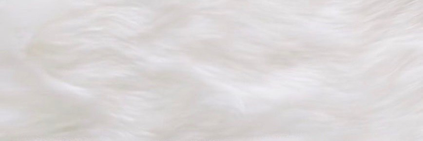 デブは甘え's banner