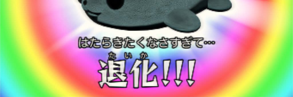 シーナ🌙's banner