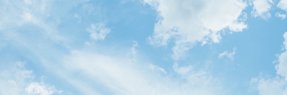 Jane Valkering's banner