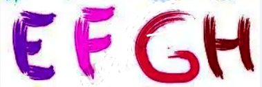 Dog lover（💯💯Fo back)'s banner