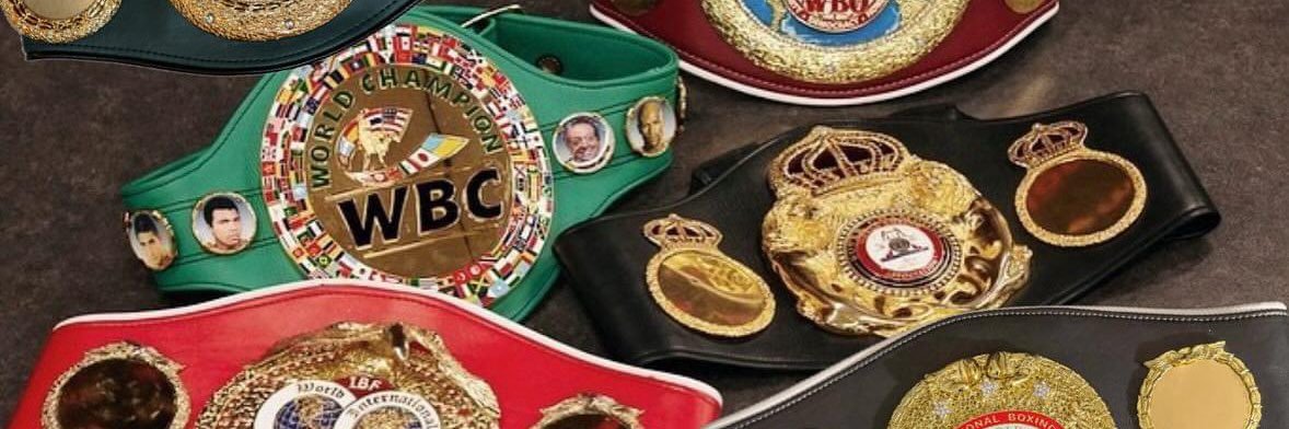 Н.Шинэбаяр ( boxing coach)'s banner