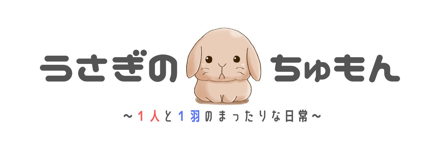 うさぎのちゅもん's banner