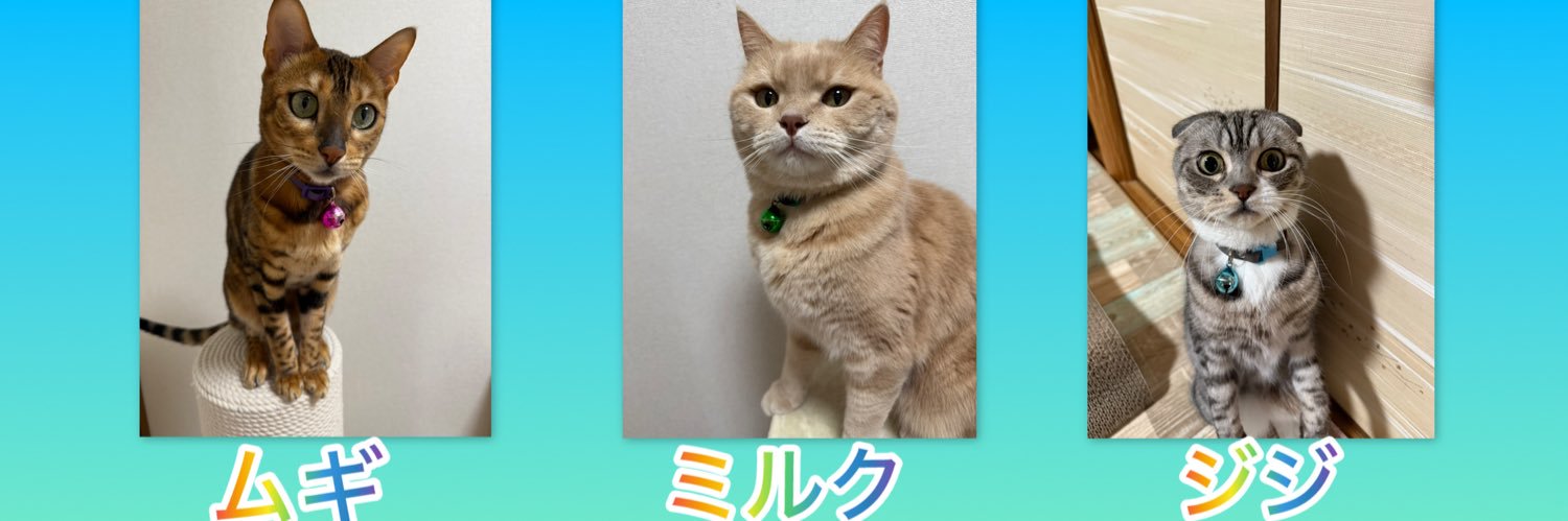 ai 🐈🐾MJM‘sほのぼの癒し団🐈🐾's banner