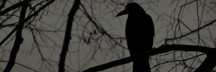 عـــرق سَگــــی's banner