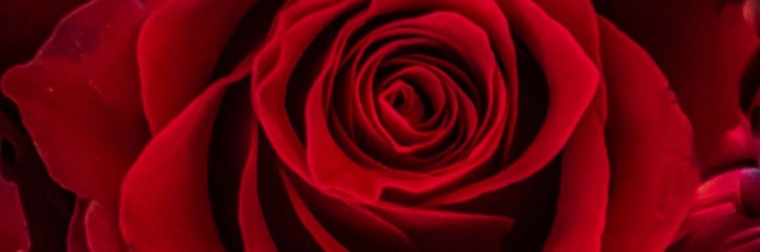 🦋ចែល័ក្ខ🦋's banner
