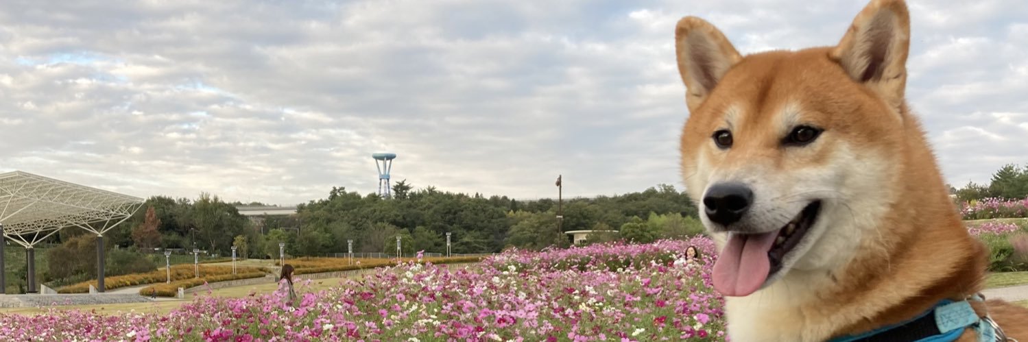 しばわんこ's banner