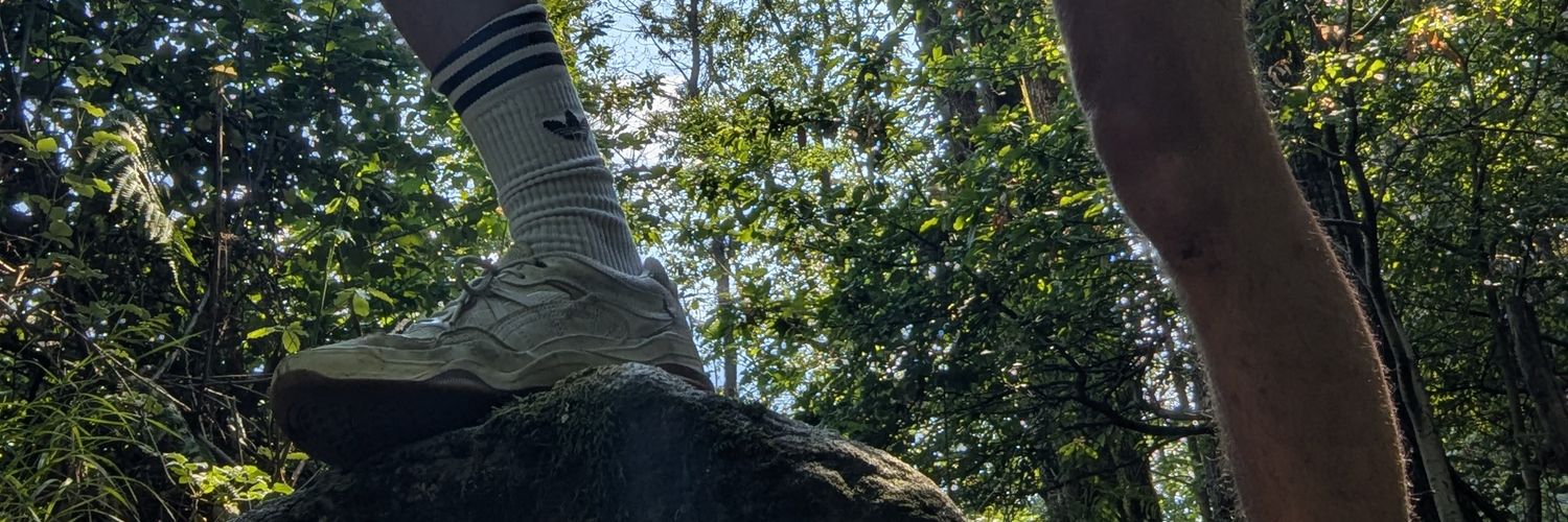 NatureTwink ✨'s banner