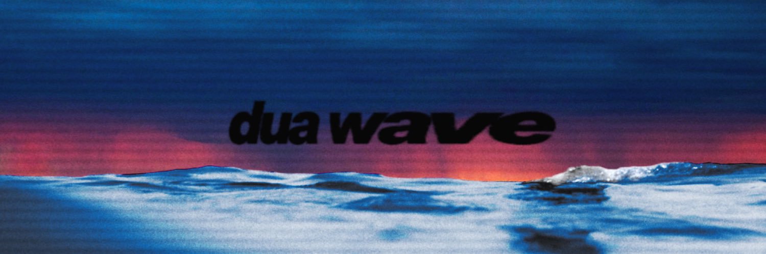 sel wave's banner