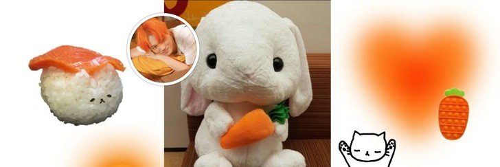 carrot 🥕's banner