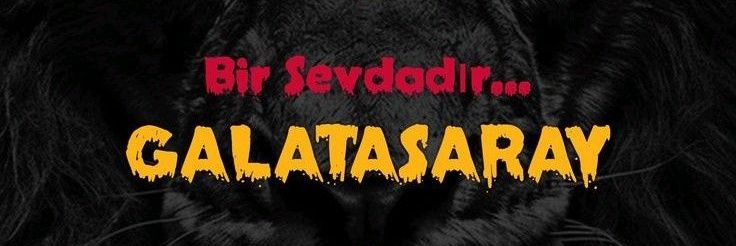 A L P E R E N's banner