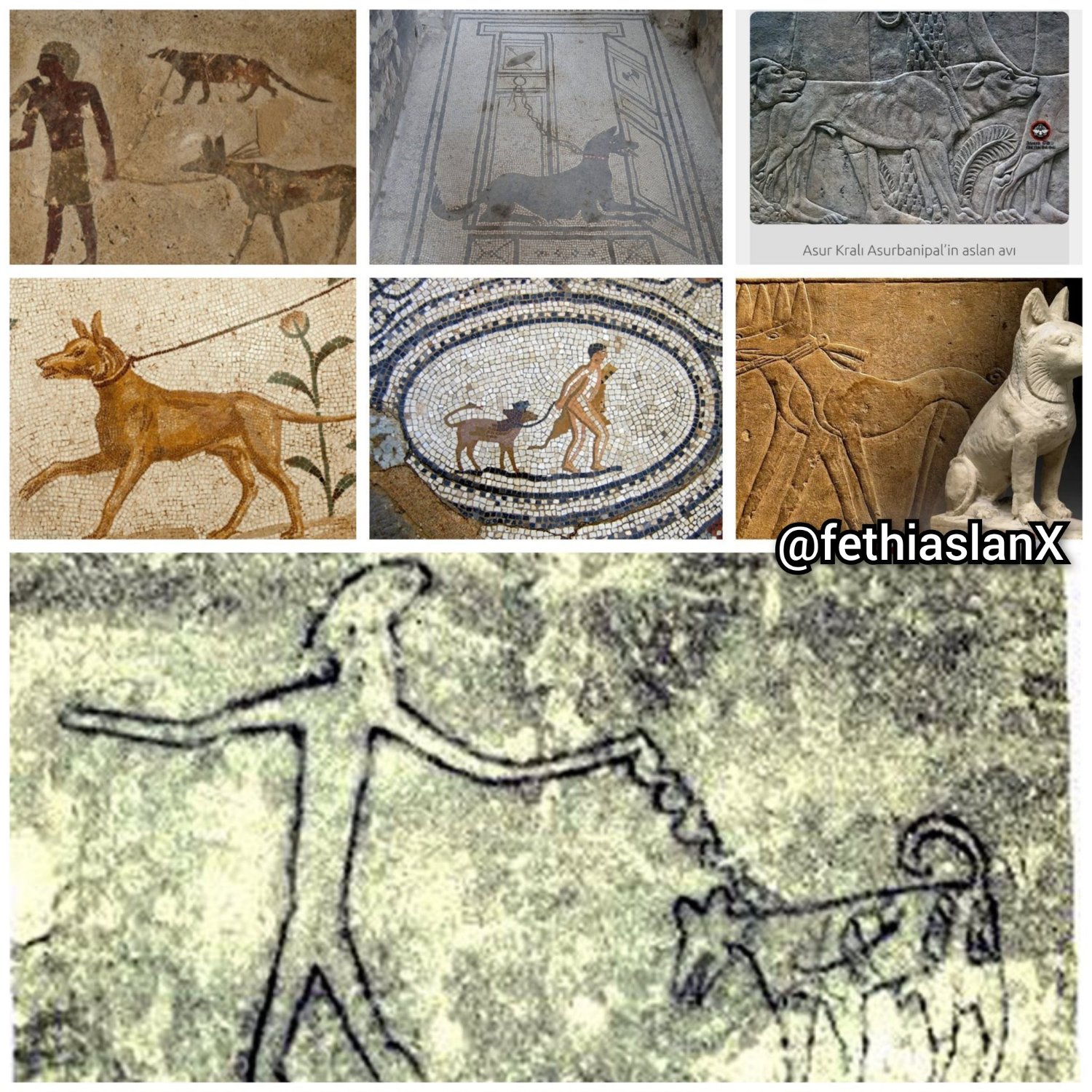 FethiAslan Köpek Sorunu's banner