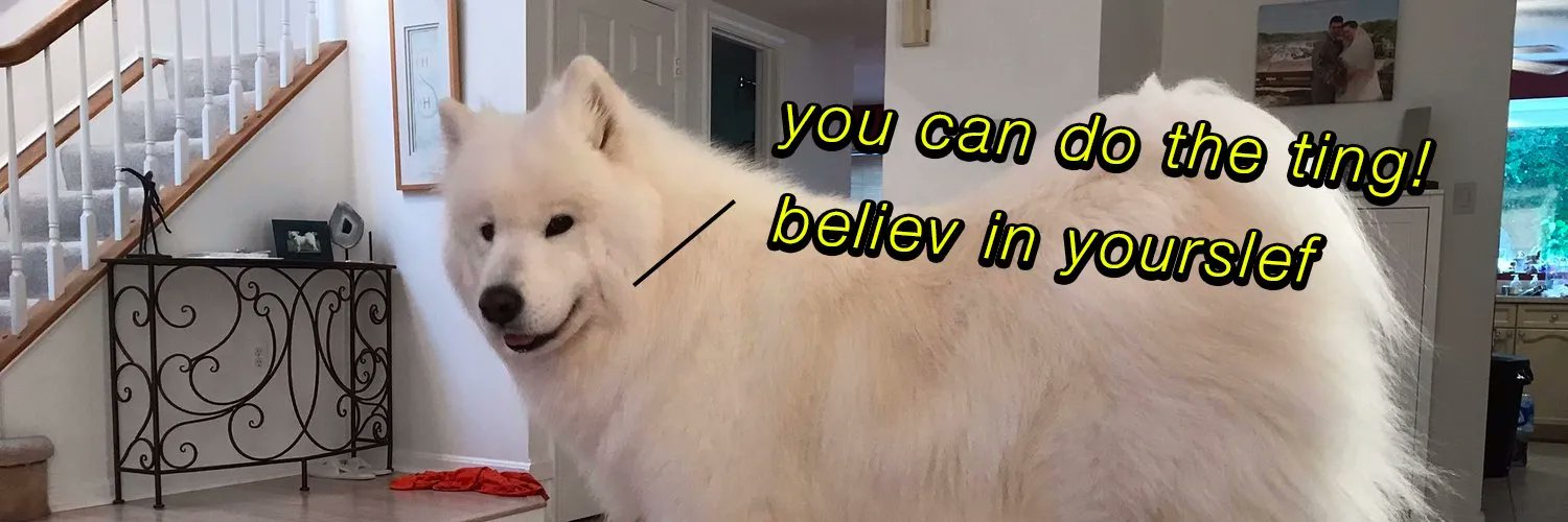@levelsio's banner