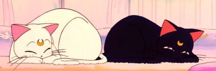 Violet Grey's banner